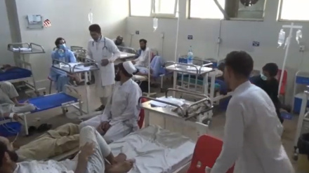 افزایش بیماری ملاریا در ننگرهار