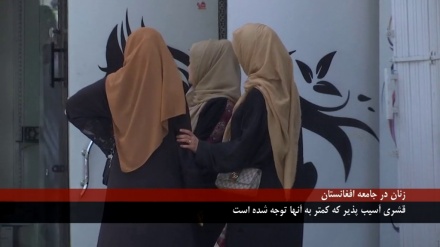 در دو دهه اخیر، زنان افغانستان با توجه به تحولات اجتماعی و فرهنگی دچار تغییرات گسترده‌ای شده‌اند.