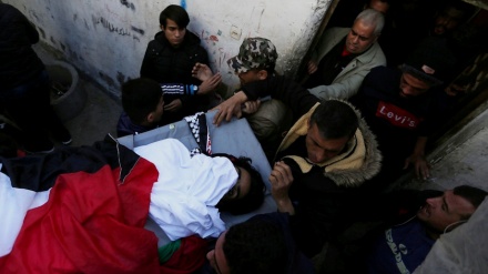 صیہونی فوجیوں کے حملے میں ایک فلسطینی شہید