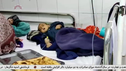 مسوولین صحت هلمند می گویند