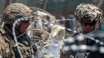 سربازهای انگلیسی بعد از خروج از افغانستان دچار بیماری روانی شده اند 