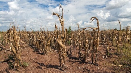 پیامدهای افزایش دما در کشورهای مختلف