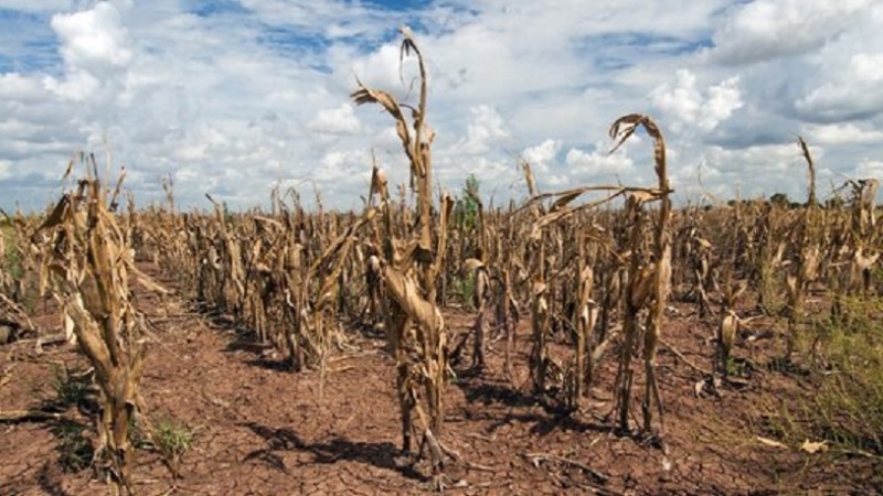 پیامدهای افزایش دما در کشورهای مختلف