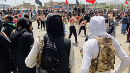 د غزني د ولایت مقام: د عاشورا ورځې د پېښې په اړه د پلټنو کمېټه جوړه شوې ده