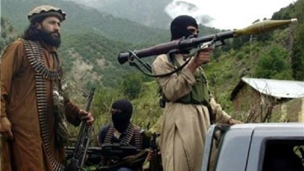 ډان: د ټي ټي پي غړي د پاکستان د حکومت د فشار له امله لېږدول شوي