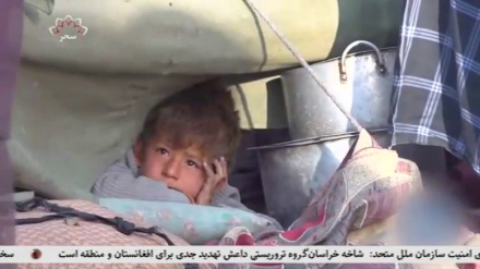 افغانستان دومین کشور جهان در شمار بی جا شده گان 