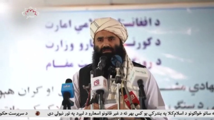 انتقادات تند سرپرست وزارت داخله به اظهارات مقامات پاکستانی
