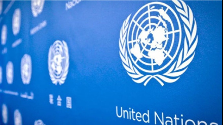 د بشري حقونو د څار سازمان: د جرمني حکومت د افغان کډوالو په منلو کې پاتې راغلی