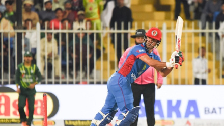 د افغانستان او پاکستان د کرېکټ یوه ورځنۍ سیالۍ