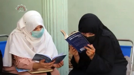 ننگرهار ولایت کي یوه ځوان وړیا ګرځنده کتابتون جوړ کړی 