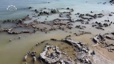 Türkiyədə sürətlə səhralaşma baş verir