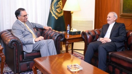 پاکستان میں ایران کے سفیر کی نگراں حکومت کے وزیر خارجہ سے ملاقات
