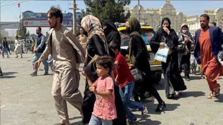 هره ورځ له ایران څخه ۱۲۰۰ کسان افغانستان ته راستنیږي