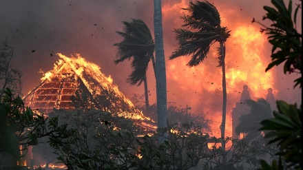 امریکی ریاست ہوائی میں لگی آگ سے ہلاک ہونے والوں کی تعداد 53 تک پہنچ گئی