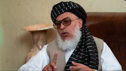 شيرمحمد عباس ستانکزی: د نجونو د زده کړو په برخه کې ديني عالمان يو ډول نظر نه لري