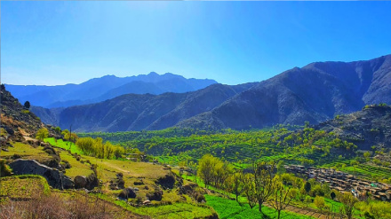 د ننګرهار د دره نور ولسوالۍ د اوسېدونکو روغتیايي ستونزې