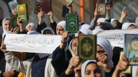 ہالینڈ میں قرآن مجید کی بے حرمتی پر امت مسلمہ سراپا احتجاج 