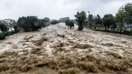 د سره صلیب او سرې میاشتې ټولنې د نړیوال فدراسیون راپور