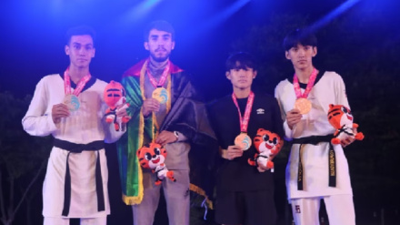 محسن رضايي د تکواندو د نړیوال فستیوال اتل شو