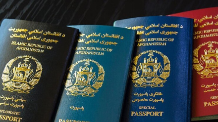 د پاسپورټونو د ترلاسه کولو لپاره د هرات د خلکو ګڼه ګوڼه