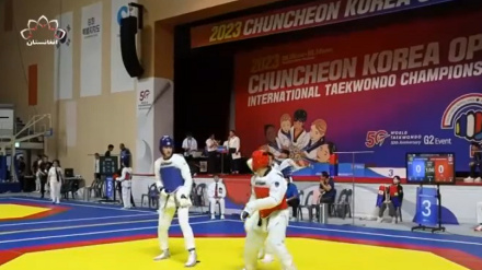 علي اکبر امیری د سوېلي کوریا د تکواندو په ازادو سیالیو کې د سرو زرو مډال ګټلی