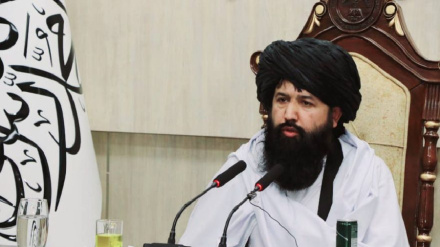 افغانستان د بل له تکیې څخه د خلاصون لپاره مسلکي کادرونو ته اړتیا لري