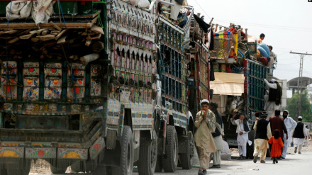 د کډوالو چارو وزارت:  له پاکستان څخه کم و زيات ۹۵۰ تنه افغان کډوال افغانستان ته ستانه شوي دي