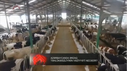 XƏBƏRLƏR  -  03-08-2023   -  (20:00)      -   Aparıcı:      MƏHƏMMƏDRZA MEHRƏFZA