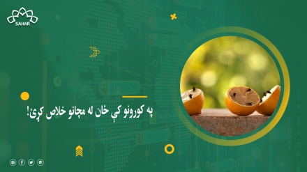 په کور کې څنګه له بنګېدونکو مچانو ځان خلاص کړو