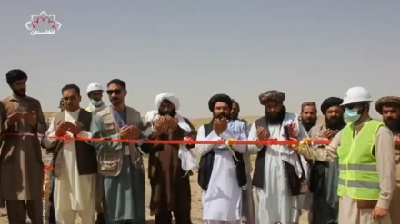 زابل کې د کرنۍ او مالدارۍ ریاست تر چتر لاندې ۵۸ پرمختیايې پروژې پلي کېږي 