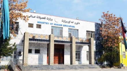 د لوړو زده کړو وزارت:  د ښځينه محصلينو د جذب لپاره چمتوالی لرو