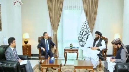 په کابل کې د جاپان سفیر: ډېری افغانان په دې هڅه کې دي چې ژوندي پاتې شي