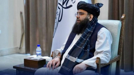 د رئیس الوزراء سیاسي مرستیال: د اساسي قانون پر تدوین کار روان دی