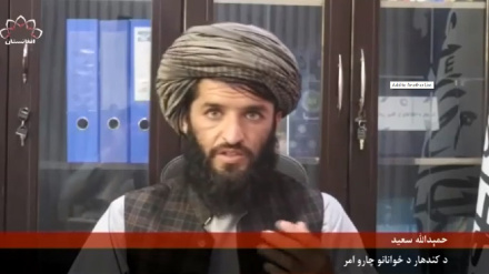 کندهار کې د بيکارۍ د مخنېوي هڅې 