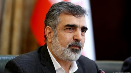 آئی اے ای اے کے ڈائریکٹر کو سوچ سمجھ کر بیان دینا چاہئیے: ایران