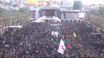 برگزاری مراسم با شکوه اربعین حسینی در کربلا