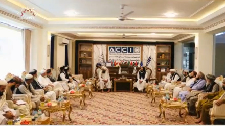 د افغانستان او پاکستان ترمنځ د صادراتو ستونزه دواړه خواوې زیانمنوي