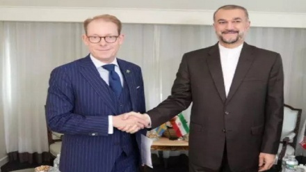 سوئیڈن کے وزیرخارجہ سے ایرانی وزیرخارجہ کی ملاقات، قرآن مجید کی بے حرمتی کا مسئلہ اٹھایا