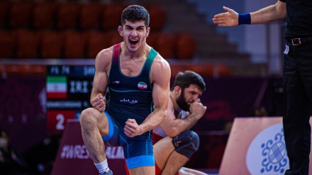 Sərbəst güləş üzrə Dünya Çempionatı: İranın 3 təmsilçisi 1/4 finalda