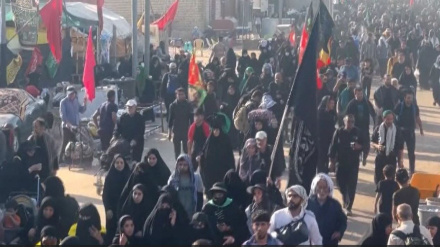 حضور گسترده زایران در کربلا