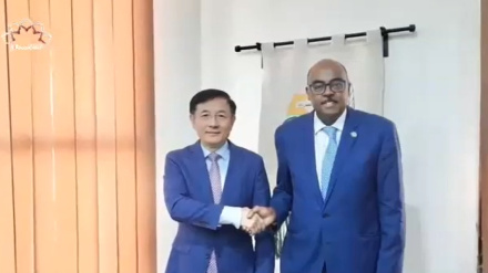 د افغانستان لپاره د چین او د اسلامي همکاریو سازمان د ځانګړو استازو غونډه