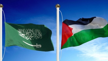 سعودی عرب کے وفد کا دورہ فلسطین، اونٹ کس کروٹ بیٹھے گا
