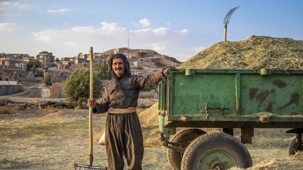 Xermanan; Meha hilberînê li Parêzgeha Kurdistanê