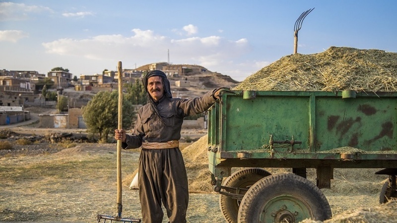 Xermanan; Meha hilberînê li Parêzgeha Kurdistanê