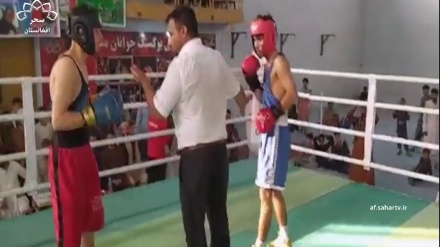 برگزاری مسابقات بوکس با میزبانی ننگرهار