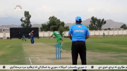 مسابقات کریکت ۲۰ آوره به میزبانی ولایت ننگرهار برگزار شد 