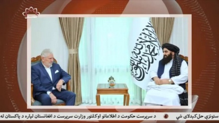 بیانه حزب آزادی اتریش درباره دیدار اعضایش با امیرخان متقی 