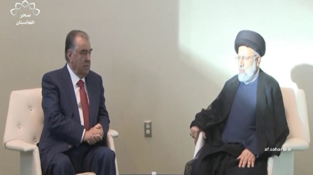 دیدار روسای جمهوری ایران و تاجکستان 