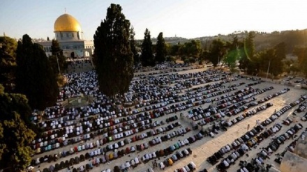 مسجدالاقصیٰ میں نماز جمعہ کا روح پرور اجتماع، 50 ہزار فلسطینی سر بسجود