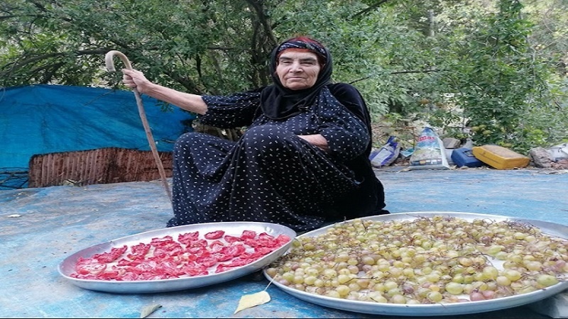 Gundiyên Feqiyan, ji bo zivistanê dest bi komkirina berheman kirine